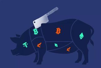 Cyber fraud called ‘pig butchering scam’ targeting unemployed youths: Centre