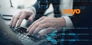 DDoS attacks up 200 percent in first half of 2023