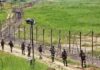 Defence ministry beefs up border security with indigenous technology lights