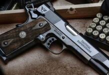 Delhi Police to introduce ‘Smart Card Arms License’