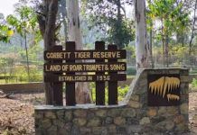 Drones, cameras, other surveillance tools monitoring women at Corbett Tiger Reserve: Study
