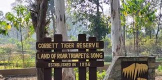 Drones, cameras, other surveillance tools monitoring women at Corbett Tiger Reserve: Study