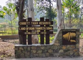 Drones, cameras, other surveillance tools monitoring women at Corbett Tiger Reserve: Study