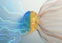 EU lawmakers propose to ban artificial intelligence in biometric surveillance