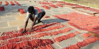 Firecrackers banned due to security concerns in J&K’s Poonch