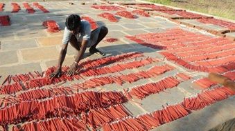 firecrackerstenewsnov142025