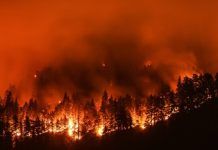 Forecasters predict another challenging wildfire season