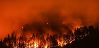 Forecasters predict another challenging wildfire season