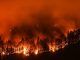 Forecasters predict another challenging wildfire season