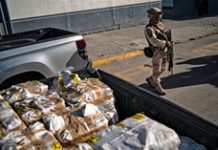 Homeland Security to explore using AI to detect fentanyl shipments