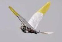 5-inch radar-proof bird built by IIT Kanpur to boost surveillance, can patrol for hours