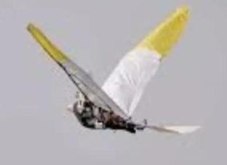 5-inch radar-proof bird built by IIT Kanpur to boost surveillance, can patrol for hours