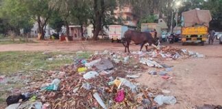 Illegal dumping to come under CCTV surveillance in Chandigarh