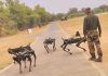 Indian Army deploys 100 robotic mules to revolutionise surveillance and logistics along LoC
