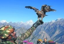 Indian army using kites to combat drones, surveillance