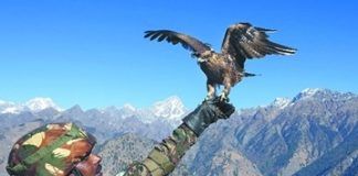 Indian army using kites to combat drones, surveillance