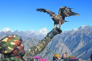 Indian army using kites to combat drones, surveillance