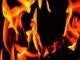 Karnataka govt to conduct fire safety audit in 166 government hospitals