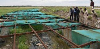 Measures mooted to step up airfield security of Coimbatore airport