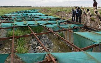 Measures mooted to step up airfield security of Coimbatore airport