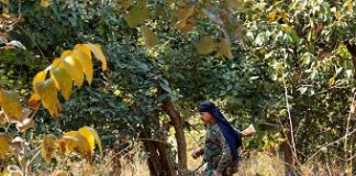 Naxals using drones for recce on security forces