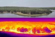New thermal drones to help detect forest fires, intensify surveillance at Maharashtra Tiger Reserve