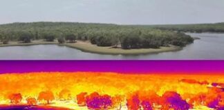 New thermal drones to help detect forest fires, intensify surveillance at Maharashtra Tiger Reserve