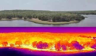New thermal drones to help detect forest fires, intensify surveillance at Maharashtra Tiger Reserve