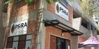 Private security industry may be answer to helping curb crime, says SA policing union