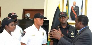 Private security companies want greater role in crime fighting