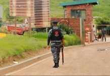 Proposed laws could weaken private security role in fighting crime and unrest in SA, DA says