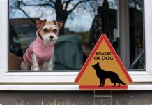 Research reveals poor security habits among US households