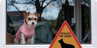 Research reveals poor security habits among US households