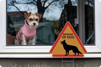 researchSTENEWSJANUARY022026