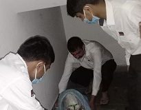Securitas India sacks 4 guards for beating stray dog to death