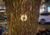 Security firms are turning NYC’s street trees into surveillance posts for guards
