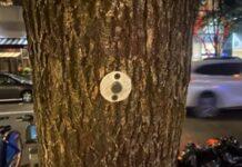 Security firms are turning NYC’s street trees into surveillance posts for guards