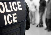 Senators urge DHS watchdog to probe expanding use of biometric and surveillance data by ICE, CBP