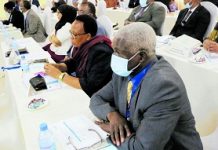 Tanzania bans private security for RCs and DCs