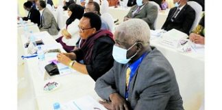 Tanzania bans private security for RCs and DCs