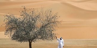 UAE pursues better border security collaboration