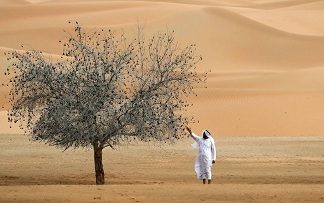 UAE pursues better border security collaboration